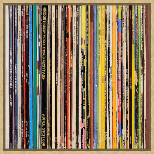 The Vinyl Archive I