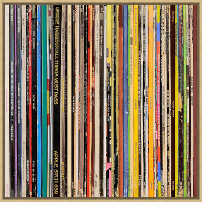 The Vinyl Archive I