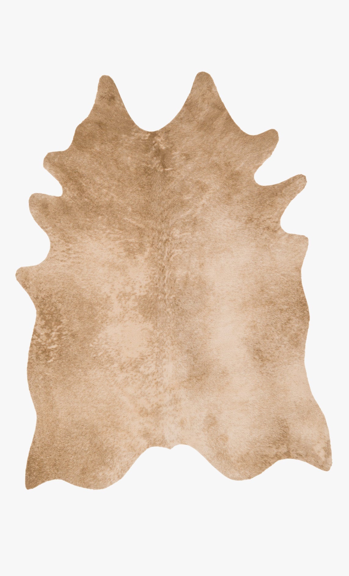 Loloi Grand Canyon Rug - Tan